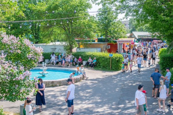 Подробнее...